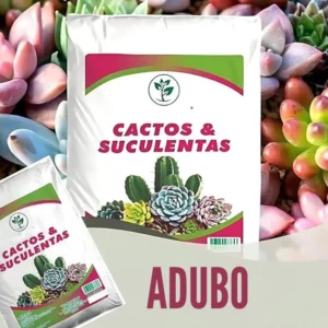 Substrato para Cactos e Suculentas