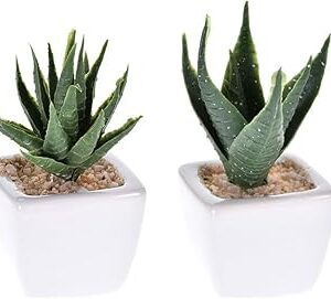 suculentas artificiais